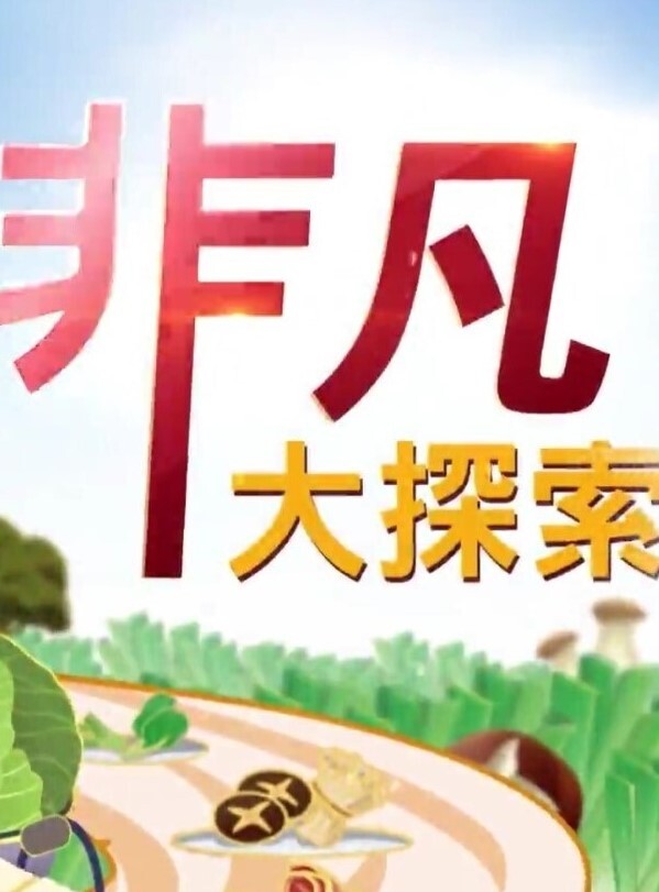 精品偷拍美女被操的满口淫语大叫喜欢你操我鸡巴又粗又长把我小骚逼都操开了好痒啊 - 中学老处女